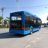 China Factory 5-7m New Energy 12-15 Seats Micro Circulation Small EV Electric City Bus Low Entry City Bus Low Floor City Bus