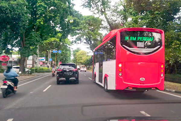 The case of Indonesia